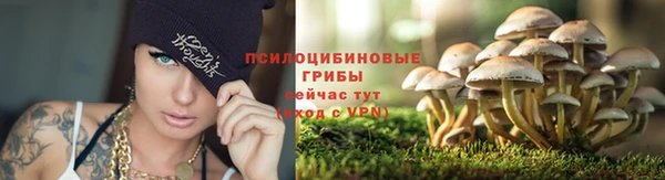 соль ск Арсеньев